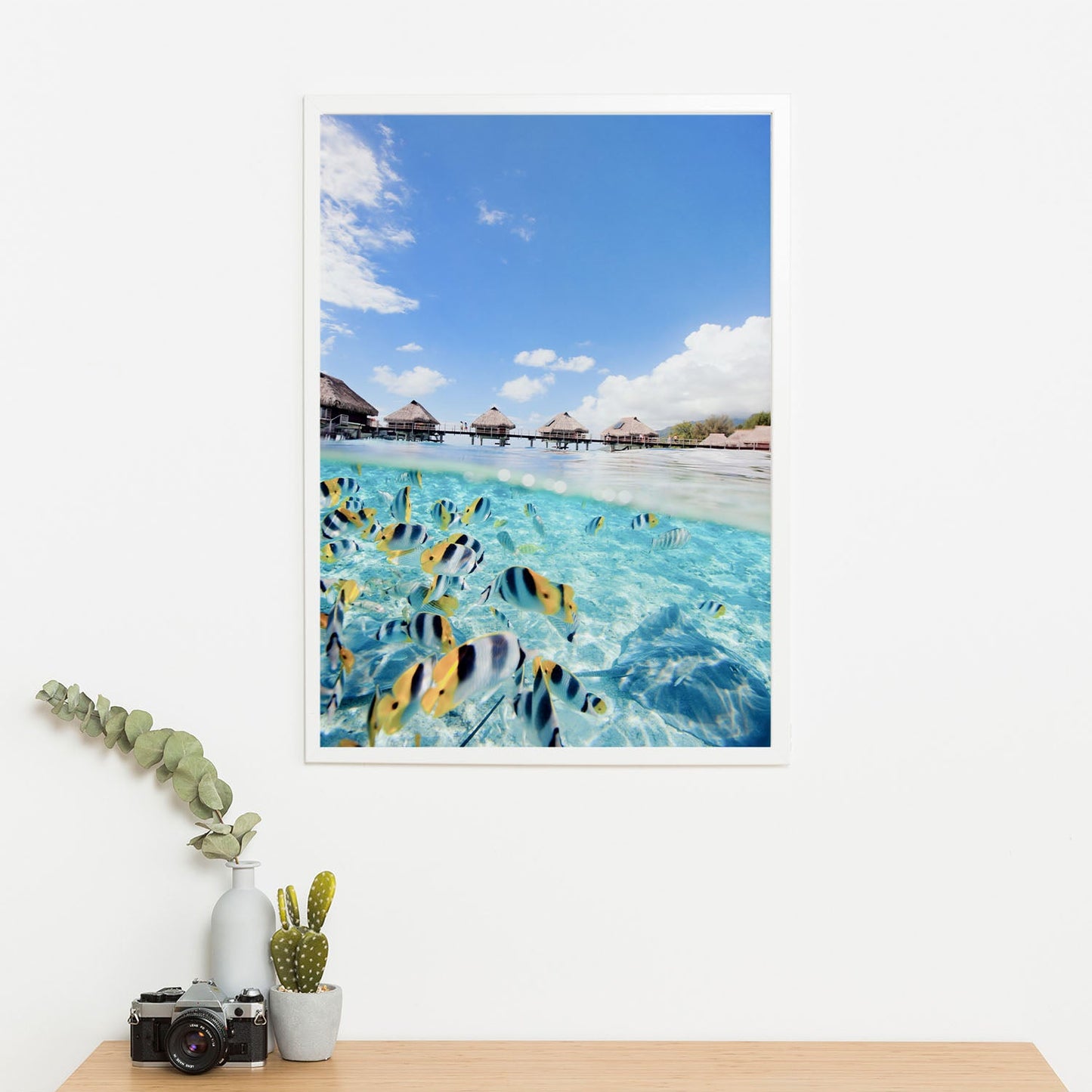 Wes Co Gallery Poster Aquatic Symphony 11 x 17" Home Goods - Nature Art Print