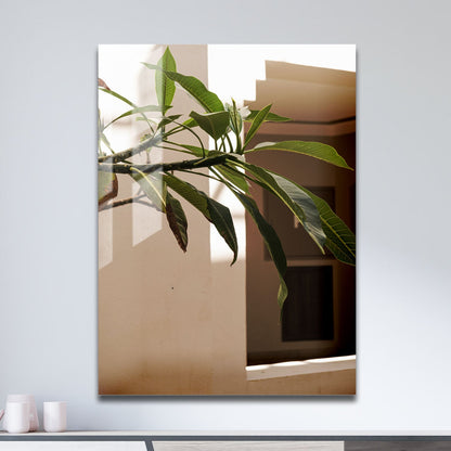 Wes Co Gallery Metal Poster Sunlit Greenery Corner 11" x 17" Home Goods - Photography Border or edge to edge Metal Art Print