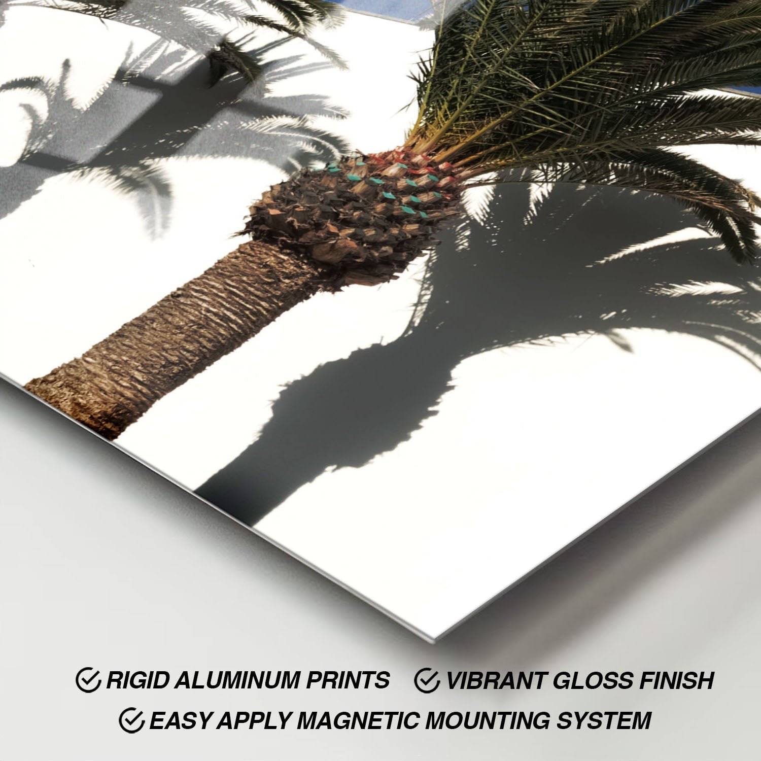 Wes Co Gallery Metal Poster Palm Silhouettes 11" x 17" Home Goods - Photography Border or edge to edge Metal Art Print