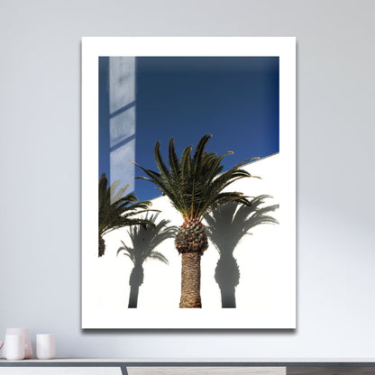 Wes Co Gallery Metal Poster Palm Silhouettes 16" x 24" Home Goods - Photography Border or edge to edge Metal Art Print