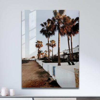 Wes Co Gallery Metal Poster Palm Promenade 11" x 17" Home Goods - Photography Border or edge to edge Metal Art Print