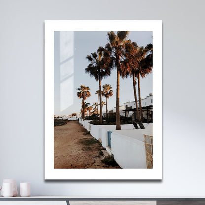 Wes Co Gallery Metal Poster Palm Promenade 16" x 24" Home Goods - Photography Border or edge to edge Metal Art Print