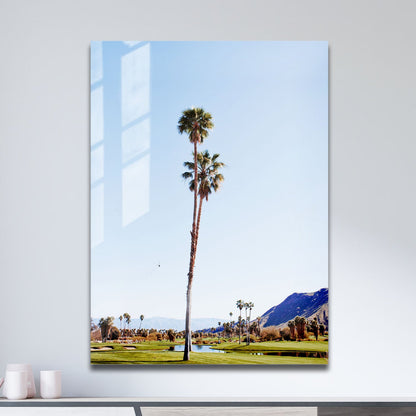 Wes Co Gallery Metal Poster Serene Palms 11" x 17" Home Goods - Photography Border or edge to edge Metal Art Print