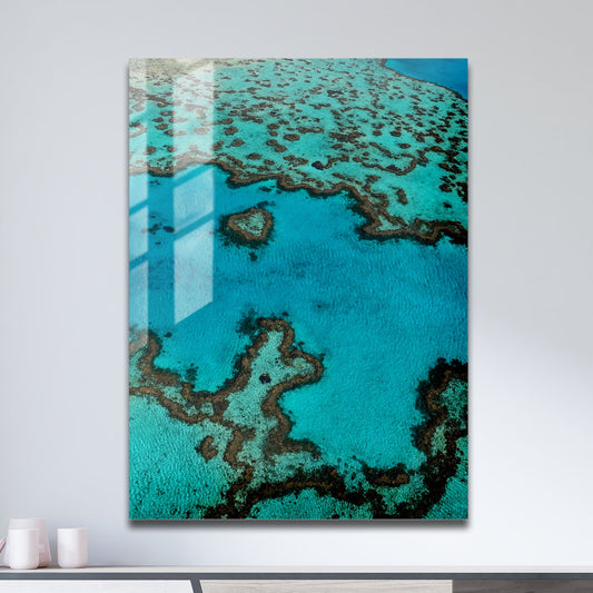 Wes Co Gallery Metal Poster Love Coral Reef 11" x 17" Home Goods - Coastal Border or edge to edge Metal Art Print