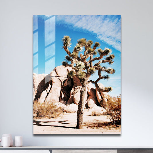 Wes Co Gallery Metal Poster Desert Beauty in Bloom 11" x 17" Home Goods - Photography Border or edge to edge Metal Art Print