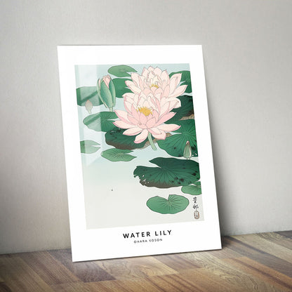 Wes Co Gallery Metal Poster Water Lily Profile by Ohara Koson 11" x 14" Home Goods - Artist Edge to edge Metal Art Print