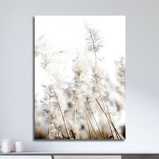 Wes Co Gallery Metal Poster Soft Pampas Grass Nature 11" x 17" Home Goods - Nordic Border or edge to edge Metal Art Print