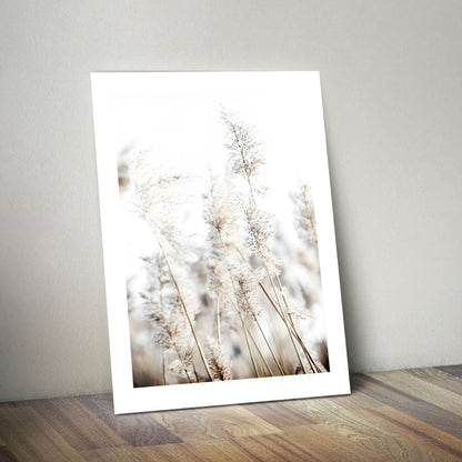 Wes Co Gallery Metal Poster Soft Pampas Grass Nature 24" x 36" Home Goods - Nordic Border or edge to edge Metal Art Print