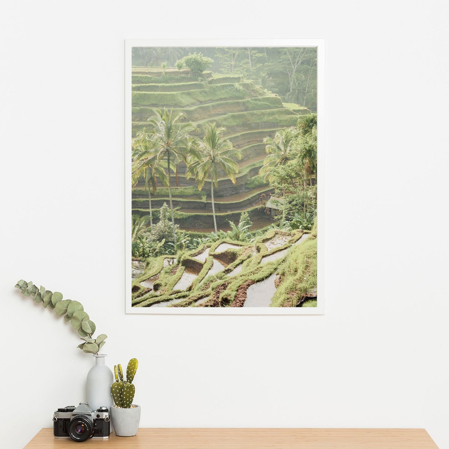 Wes Co Gallery Poster Lush Green Terraced Fields 11 x 17" Home Goods - Nature  Art Print