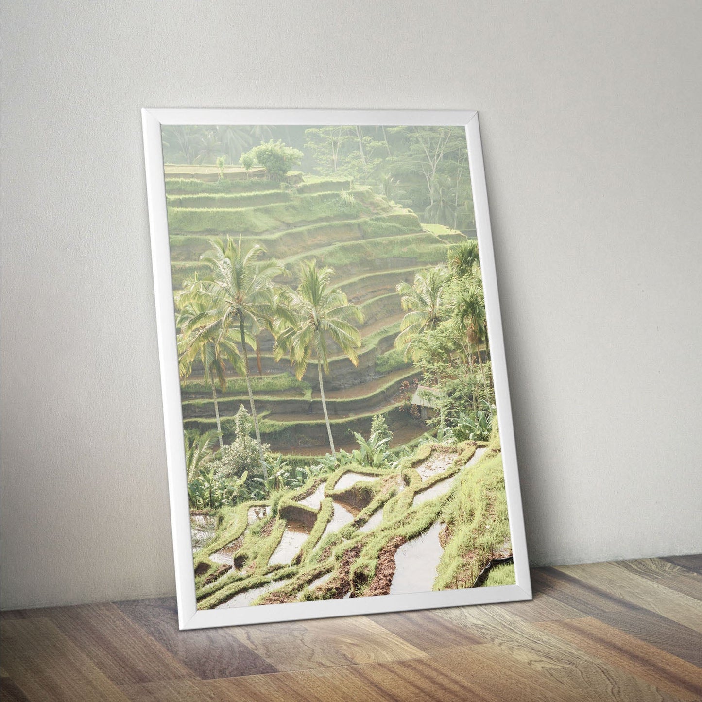 Wes Co Gallery Poster Lush Green Terraced Fields 11 x 17" Home Goods - Nature  Art Print