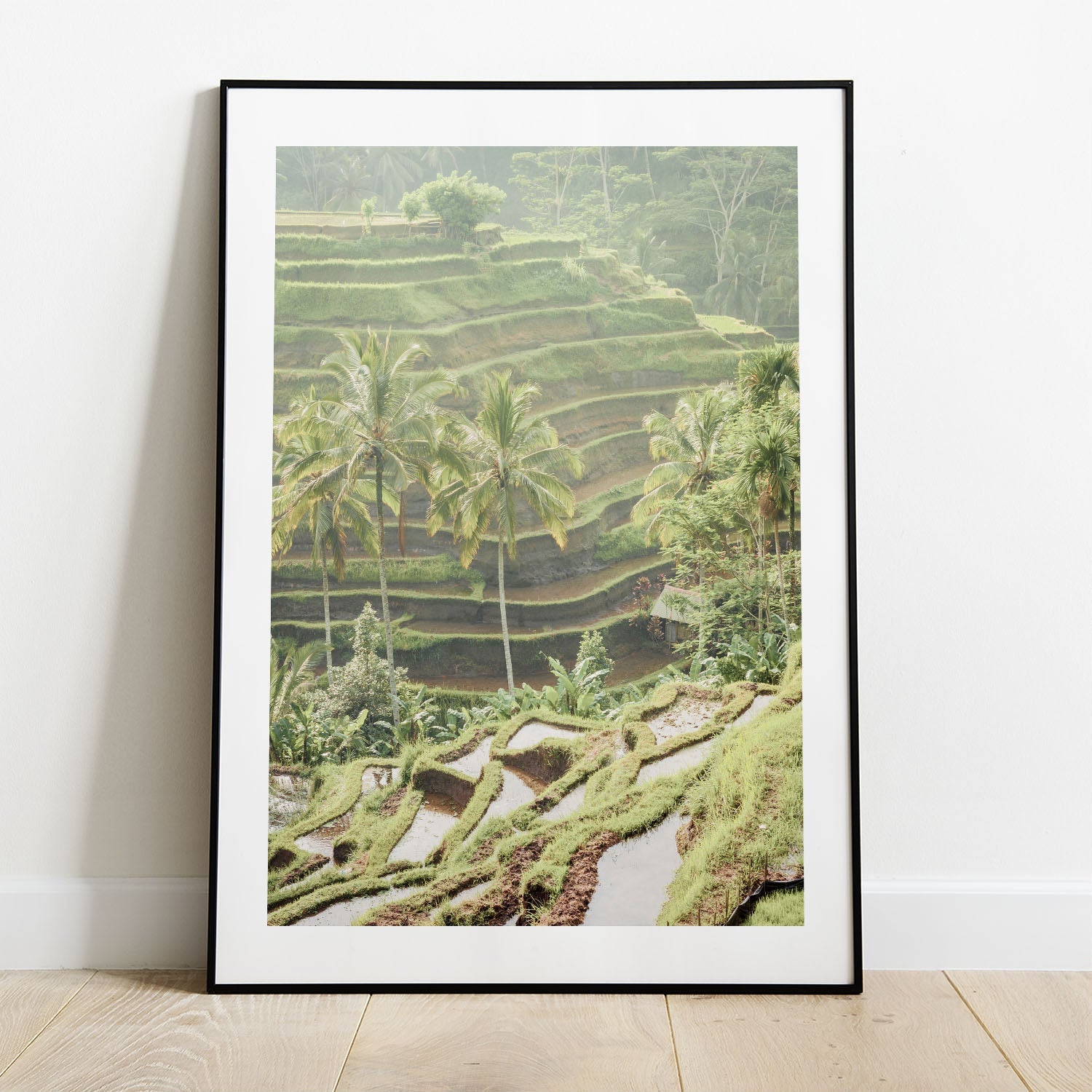 Wes Co Gallery Poster Lush Green Terraced Fields 5 x 7" Home Goods - Nature  Art Print