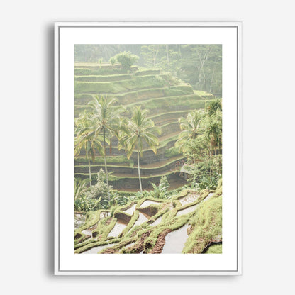 Wes Co Gallery Poster Lush Green Terraced Fields 5 x 7" Home Goods - Nature  Art Print