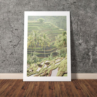 Wes Co Gallery Poster Lush Green Terraced Fields 8 x 10" Home Goods - Nature  Art Print