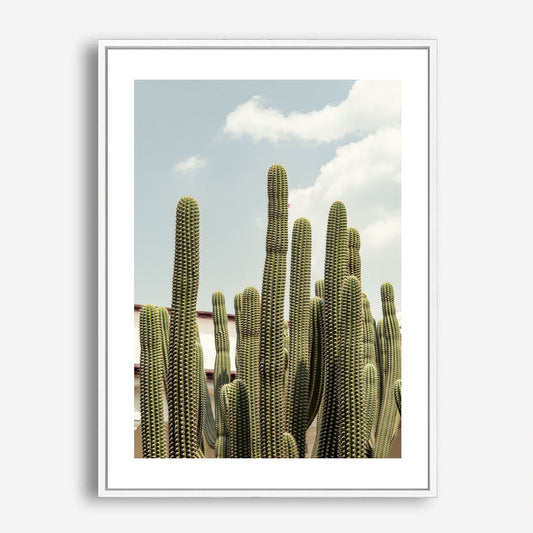 Wes Co Gallery Poster Tall Cacti under the Sun 5 x 7" Home Goods - Nature  Art Print