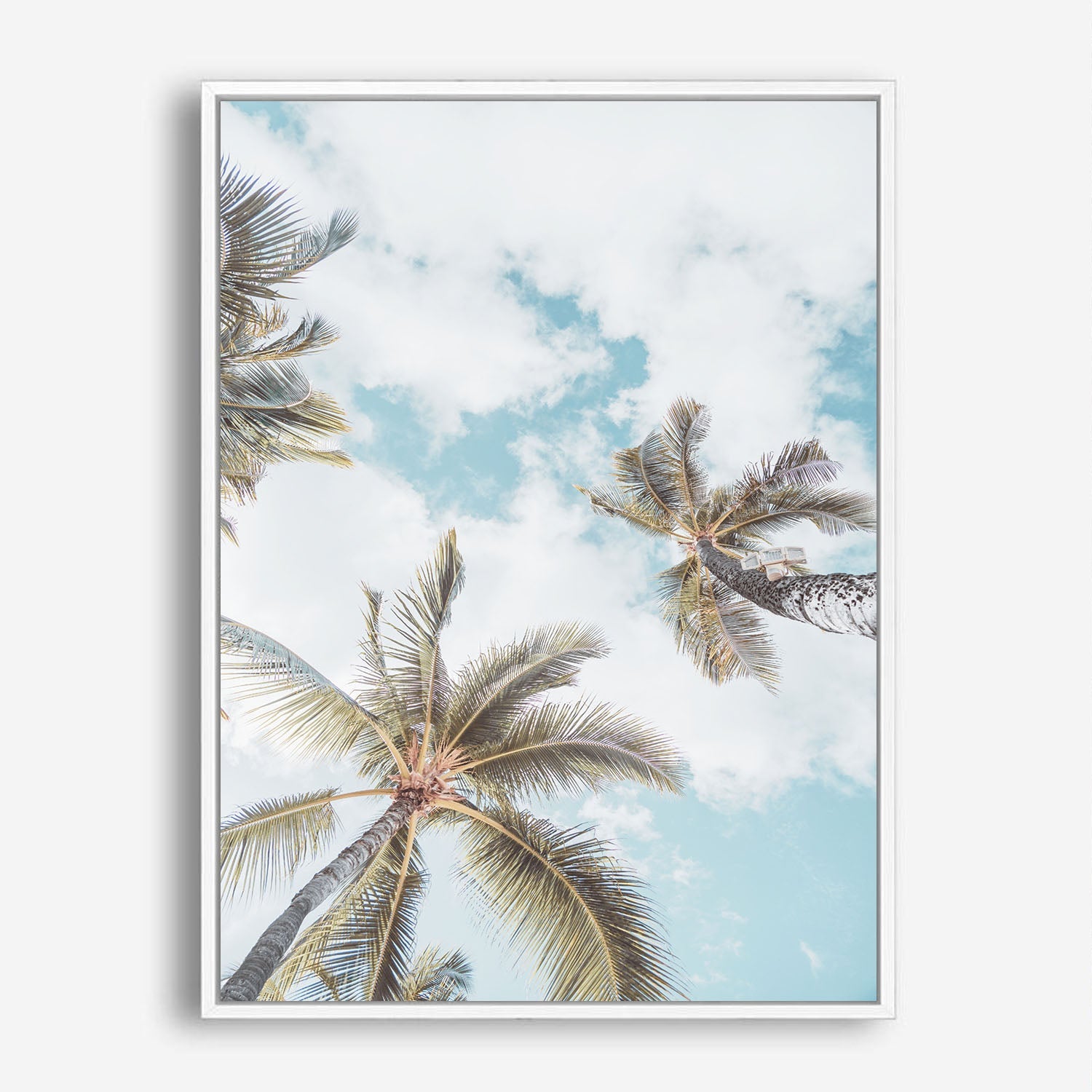 Wes Co Gallery Poster Tall Palms Under Blue Sky 8 x 10" Home Goods - Nature  Art Print