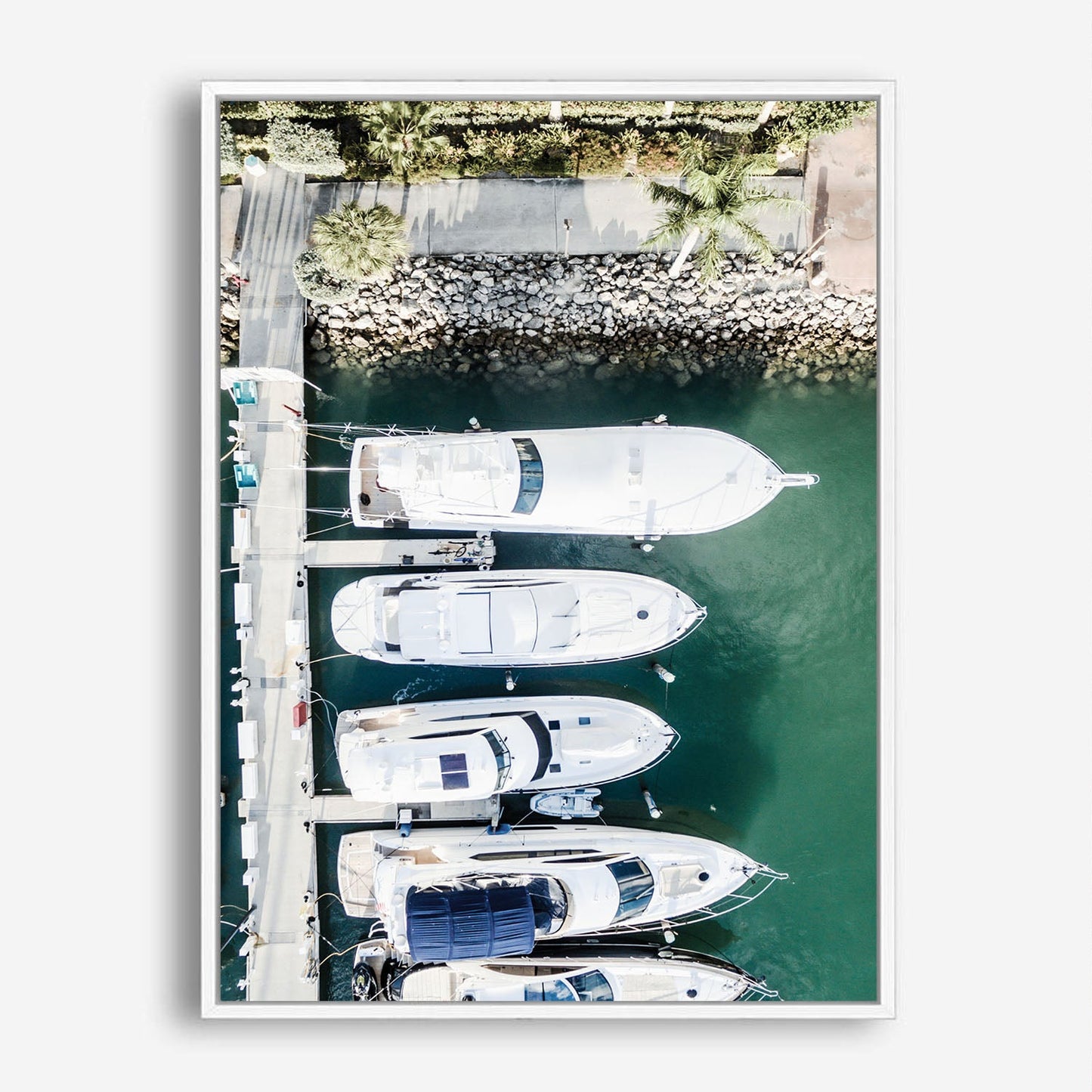 Wes Co Gallery Poster Luxury Yachts in Marina 8 x 10" Home Goods - Nature  Art Print