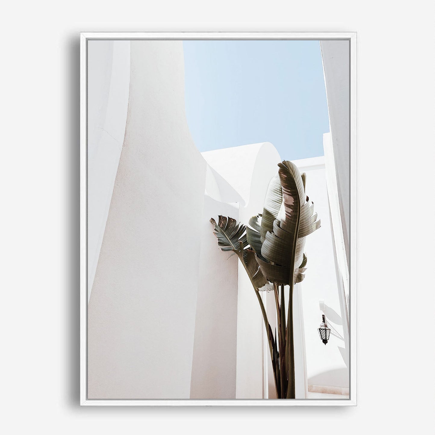Wes Co Gallery Poster Casablanca 8 x 10" Home Goods - Nature  Art Print