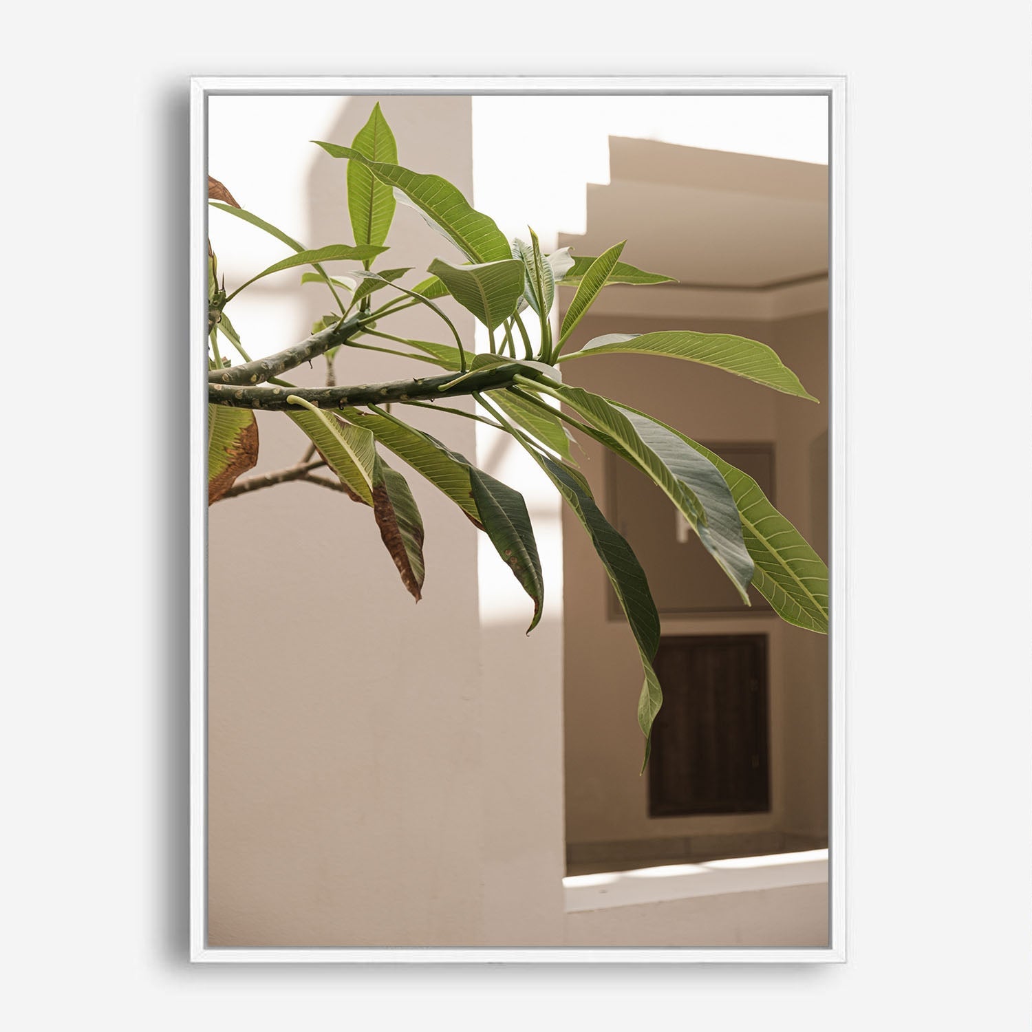 Wes Co Gallery Poster Sunlit Greenery Corner 8 x 10" Home Goods - Nature  Art Print