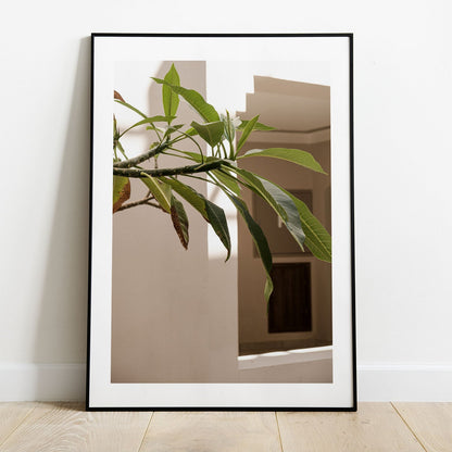 Wes Co Gallery Poster Sunlit Greenery Corner 5 x 7" Home Goods - Nature  Art Print