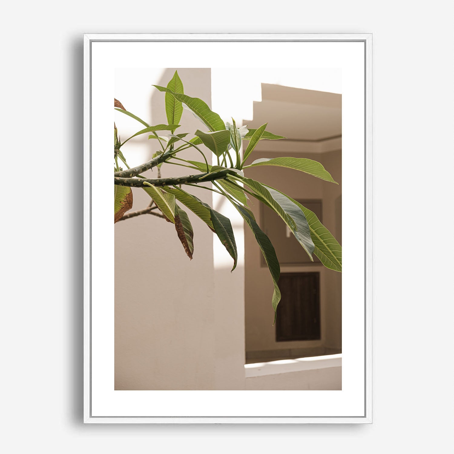 Wes Co Gallery Poster Sunlit Greenery Corner 5 x 7" Home Goods - Nature  Art Print