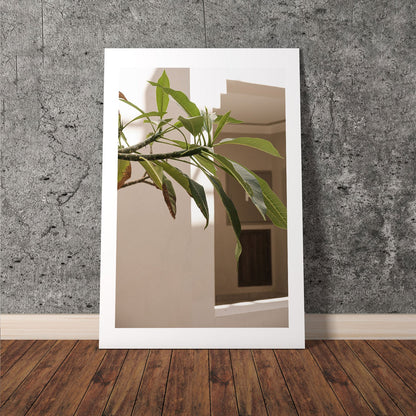 Wes Co Gallery Poster Sunlit Greenery Corner 8 x 10" Home Goods - Nature  Art Print