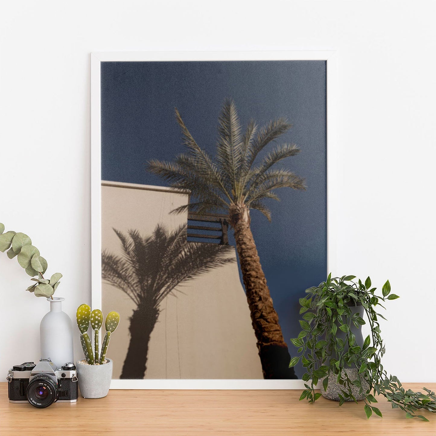 Wes Co Gallery Poster Palm Shadow Silhouette 11 x 17" Home Goods - Nature  Art Print