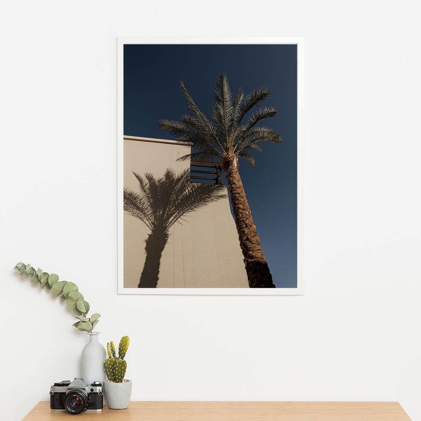 Wes Co Gallery Poster Palm Shadow Silhouette 11 x 17" Home Goods - Nature  Art Print