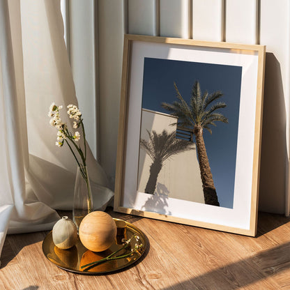 Wes Co Gallery Poster Palm Shadow Silhouette 5 x 7" Home Goods - Nature  Art Print