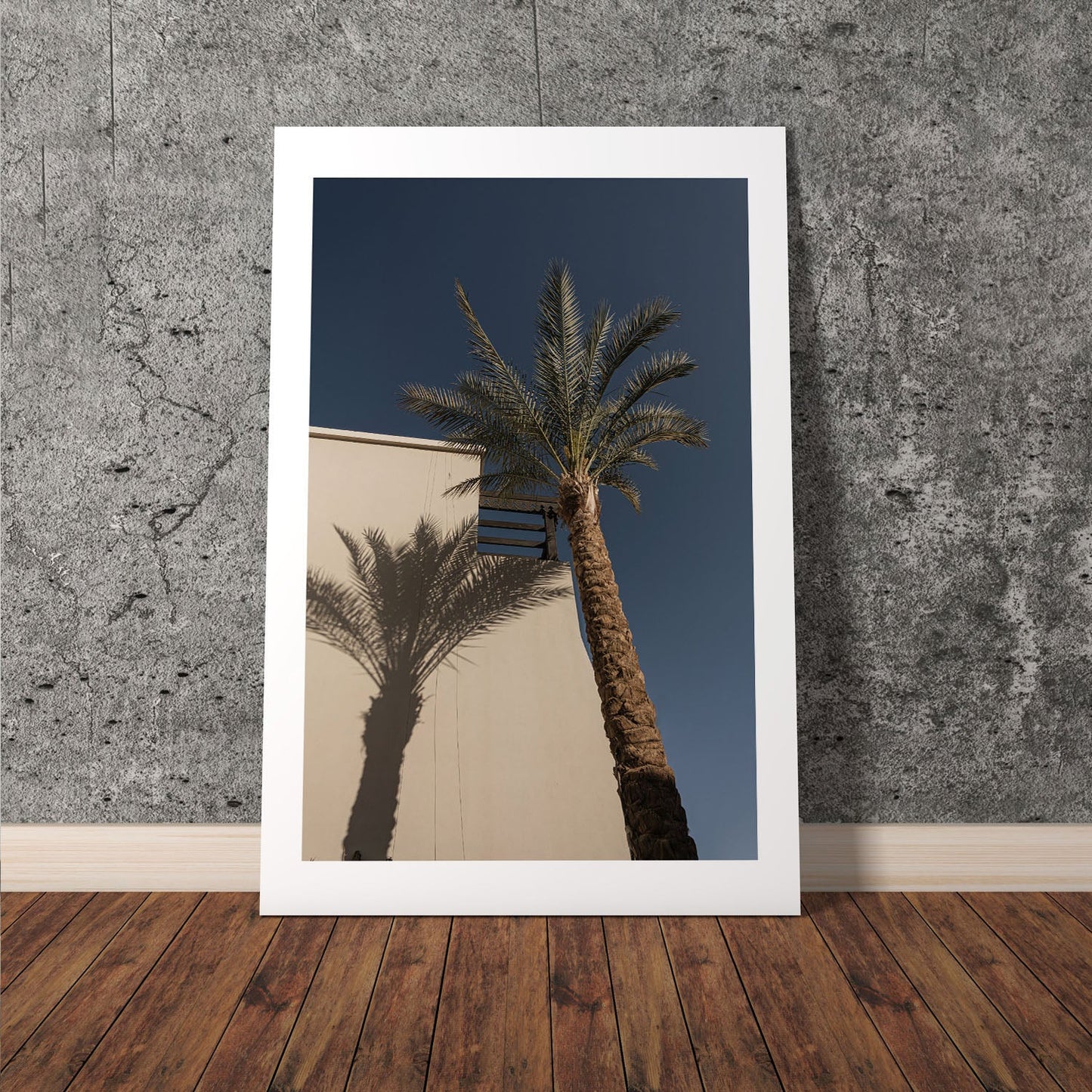 Wes Co Gallery Poster Palm Shadow Silhouette 8 x 10" Home Goods - Nature  Art Print