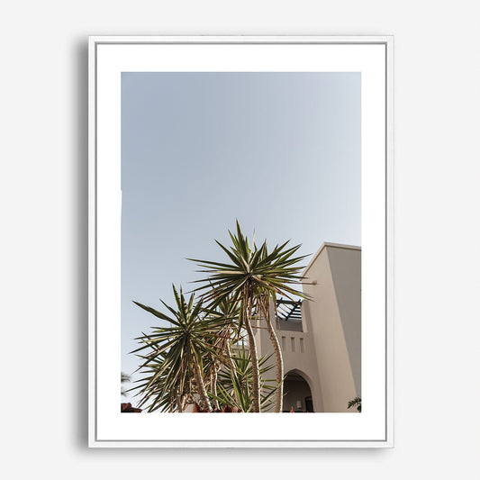 Wes Co Gallery Poster Casa Palms 5 x 7" Home Goods - Nature  Art Print