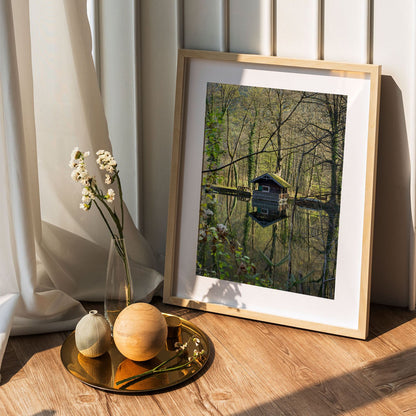 Wes Co Gallery Poster Forest Reflection Cabin 5 x 7" Home Goods - Nature  Art Print