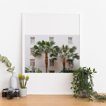 Wes Co Gallery Poster Urban Oasis 11 x 17" Home Goods - Nature  Art Print