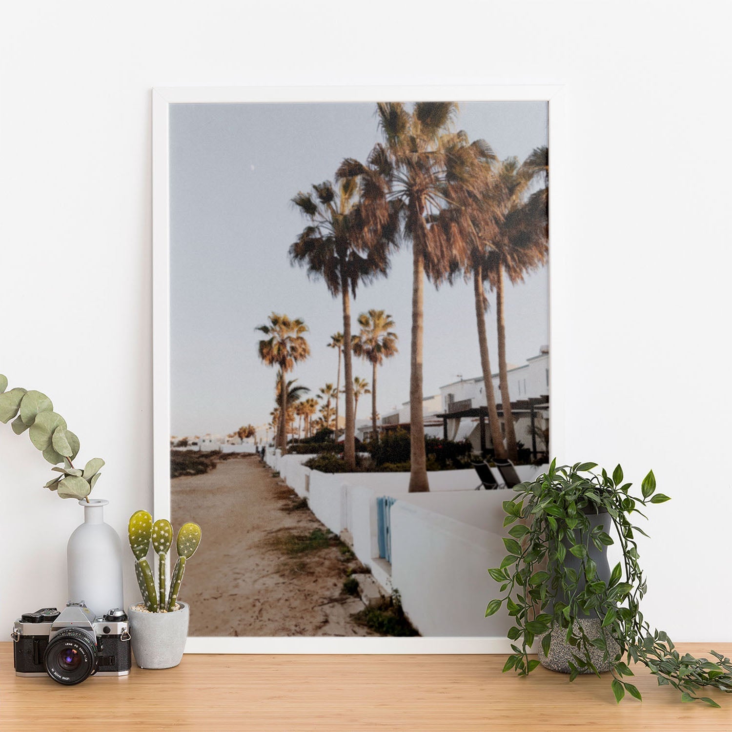 Wes Co Gallery Poster Palm Promenade 11 x 17" Home Goods - Nature  Art Print