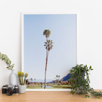 Wes Co Gallery Poster Serene Palms 11 x 17" Home Goods - Nature  Art Print