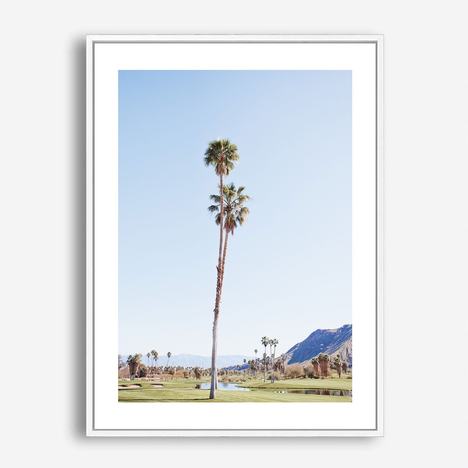 Wes Co Gallery Poster Serene Palms 5 x 7" Home Goods - Nature  Art Print