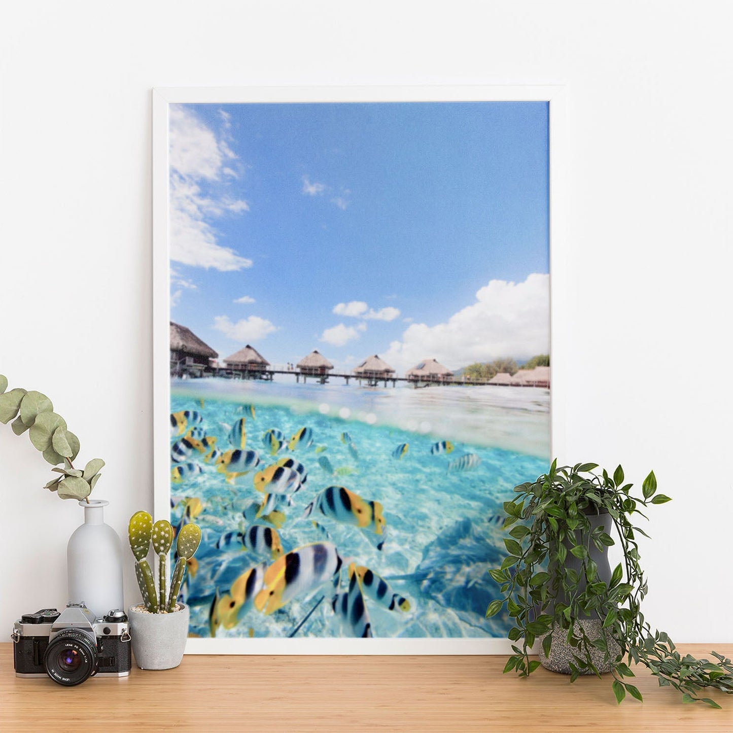 Wes Co Gallery Poster Aquatic Symphony 11 x 17" Home Goods - Nature  Art Print