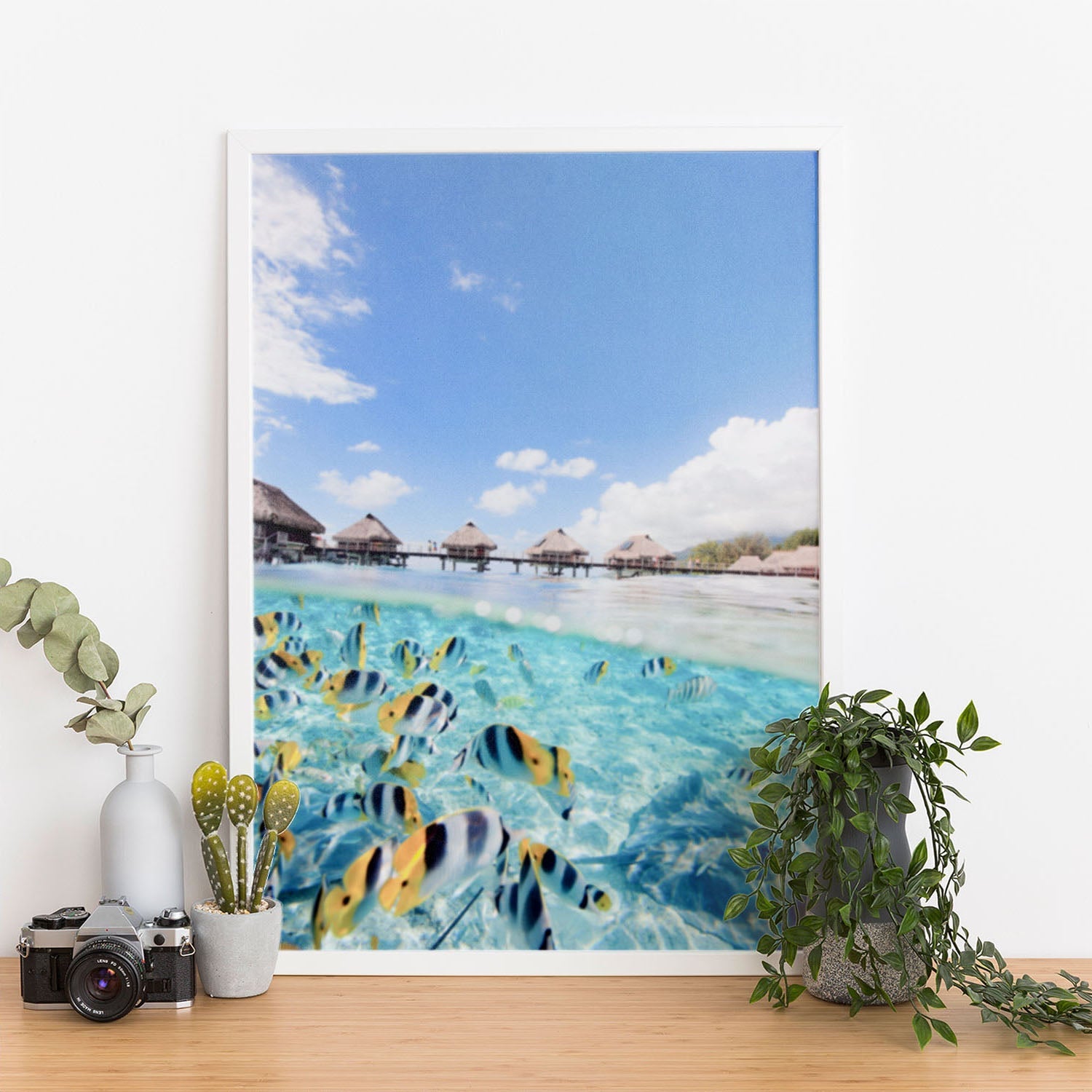 Wes Co Gallery Poster Aquatic Symphony 11 x 17" Home Goods - Nature  Art Print