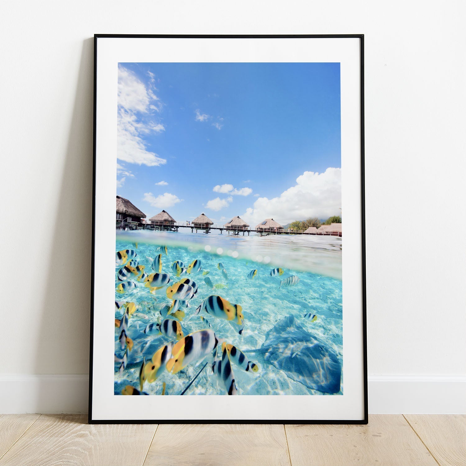 Wes Co Gallery Poster Aquatic Symphony 5 x 7" Home Goods - Nature  Art Print