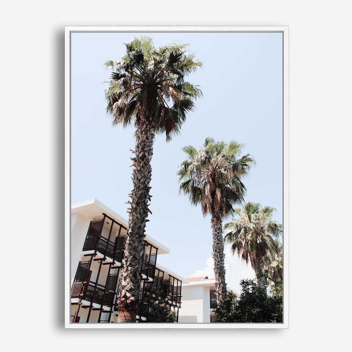 Wes Co Gallery Poster Palm Tree Haven 8 x 10" Home Goods - Nature  Art Print