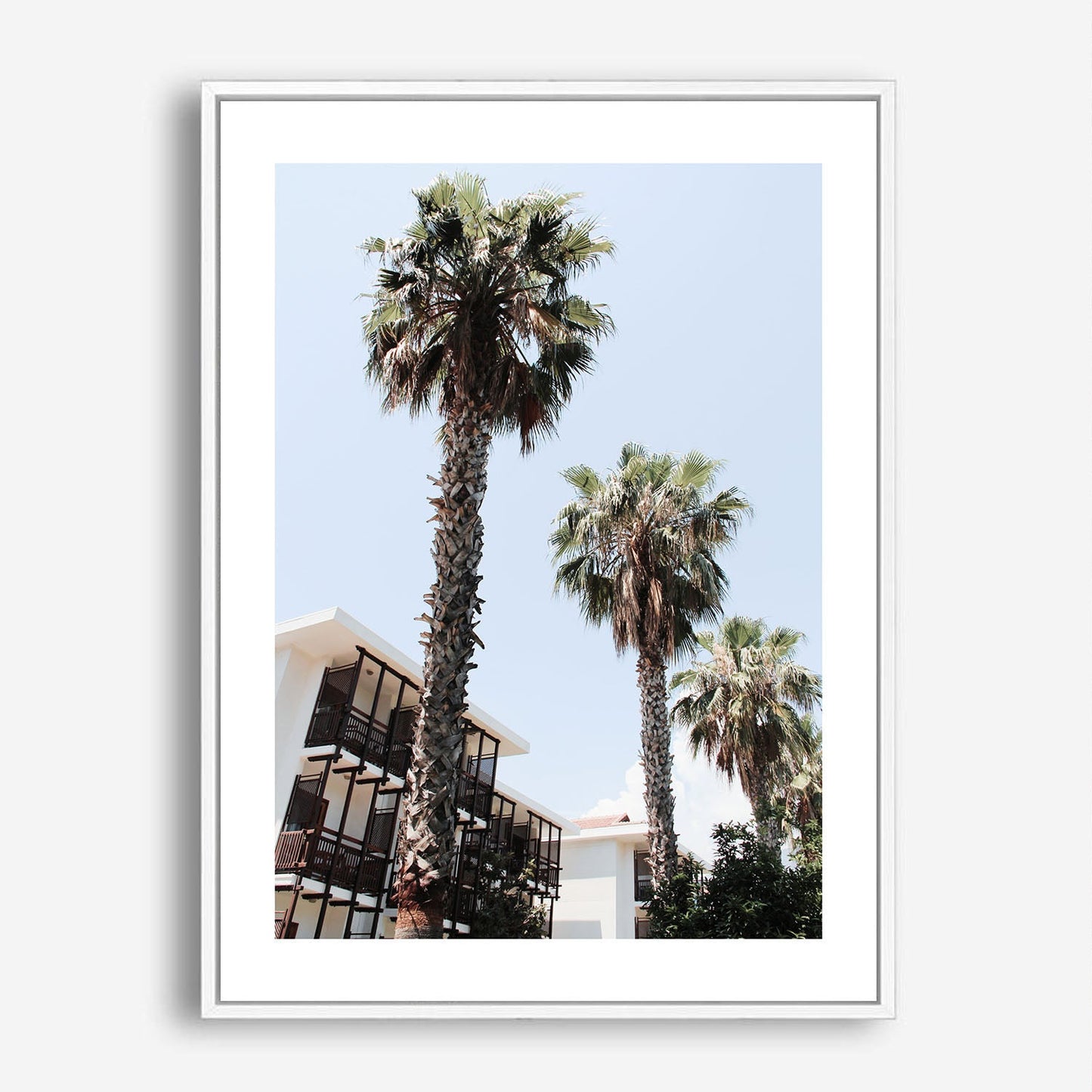 Wes Co Gallery Poster Palm Tree Haven 5 x 7" Home Goods - Nature  Art Print