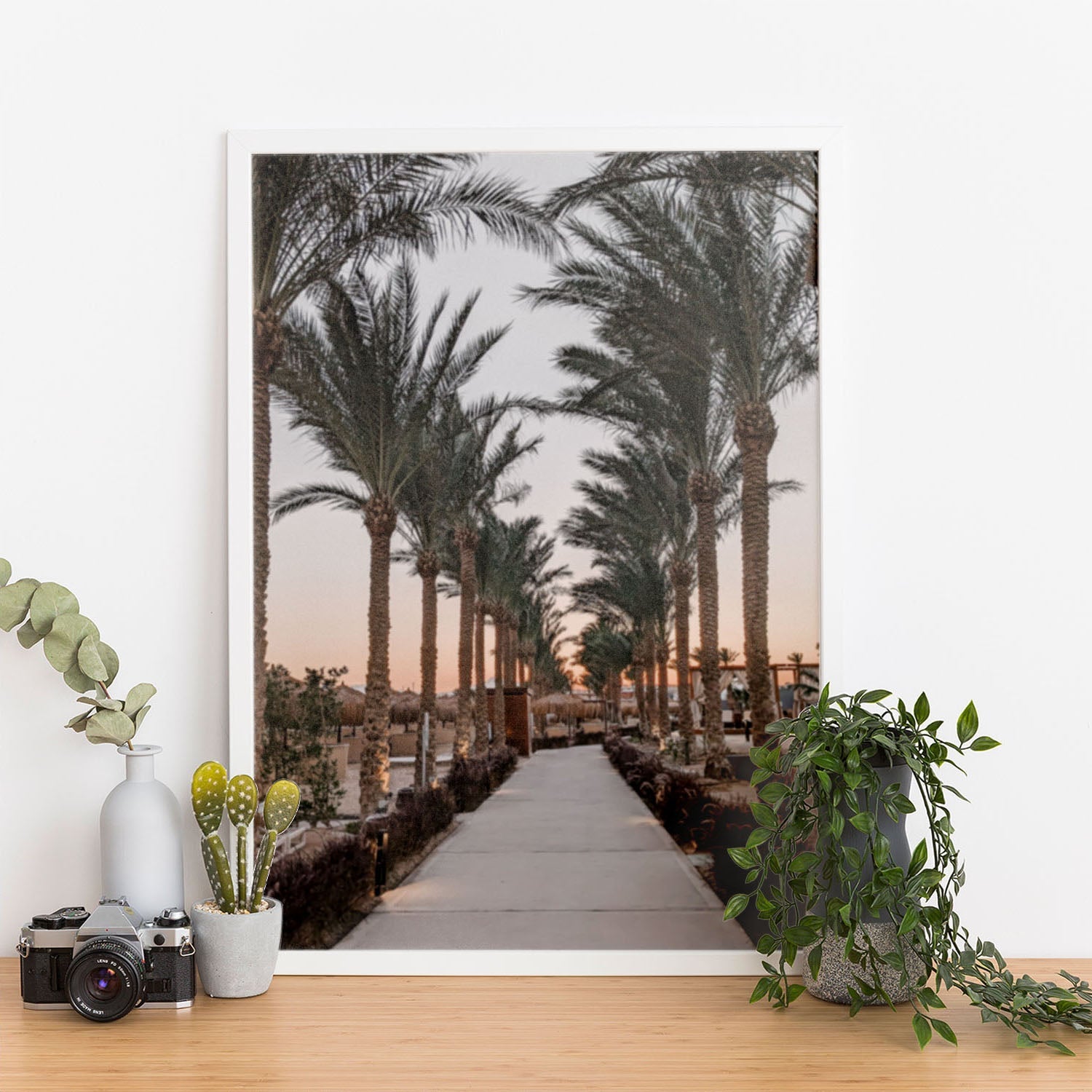 Wes Co Gallery Poster Sunset Palm Promenade 11 x 17" Home Goods - Nature  Art Print