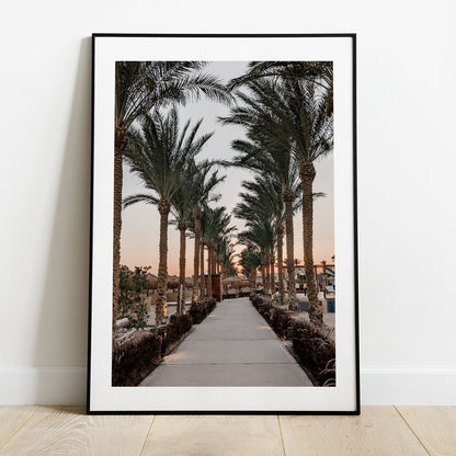 Wes Co Gallery Poster Sunset Palm Promenade 5 x 7" Home Goods - Nature  Art Print