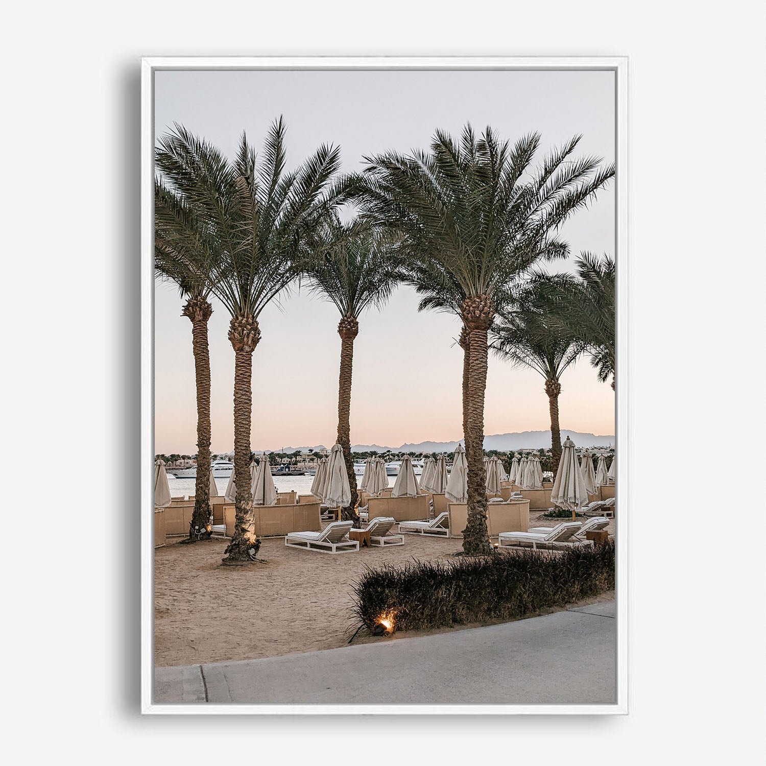 Wes Co Gallery Poster Beachside Palm Oasis 8 x 10" Home Goods - Nature  Art Print