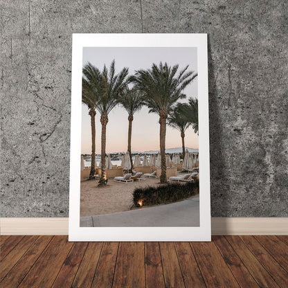 Wes Co Gallery Poster Beachside Palm Oasis 8 x 10" Home Goods - Nature  Art Print