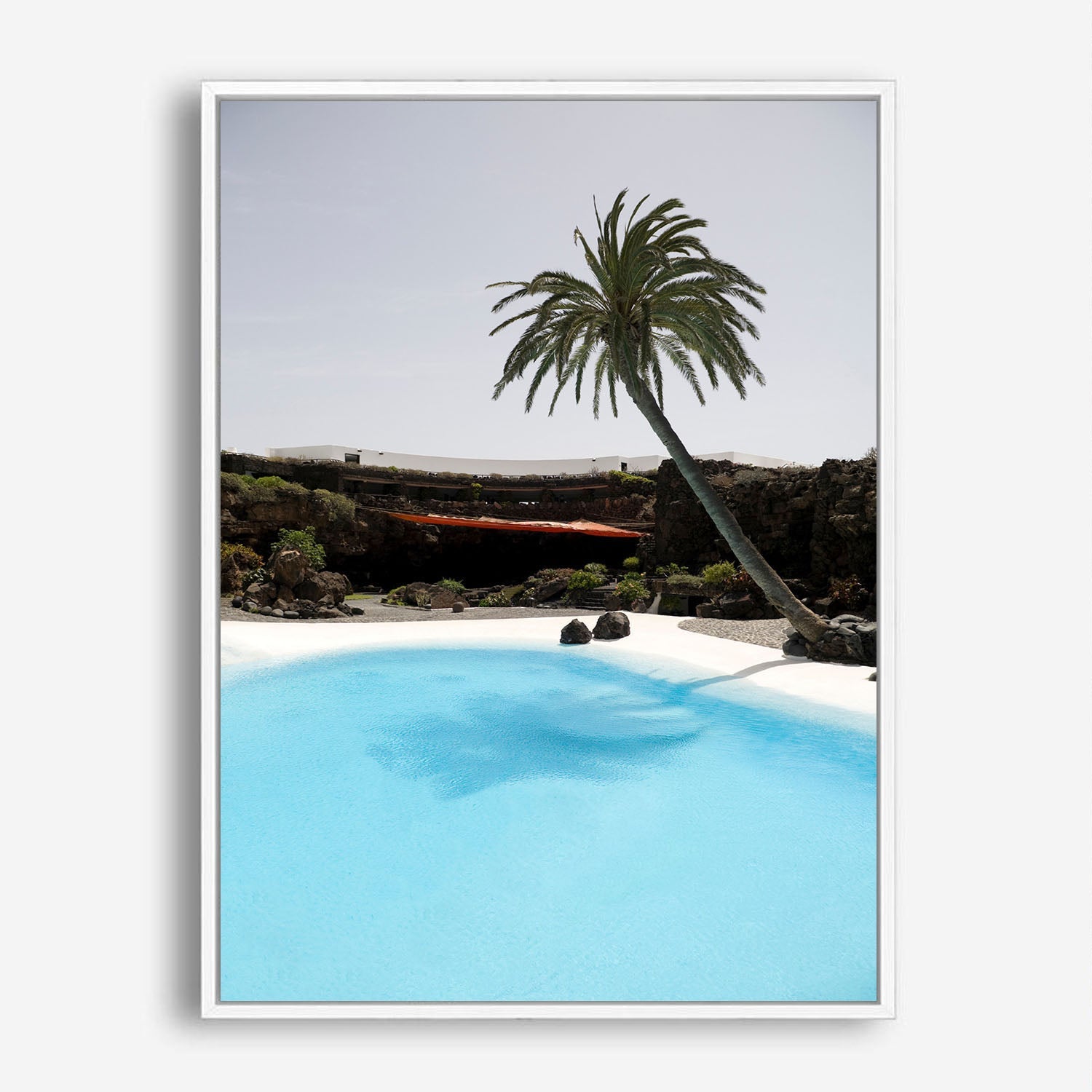 Wes Co Gallery Poster Palm Oasis Retreat 8 x 10" Home Goods - Nature  Art Print