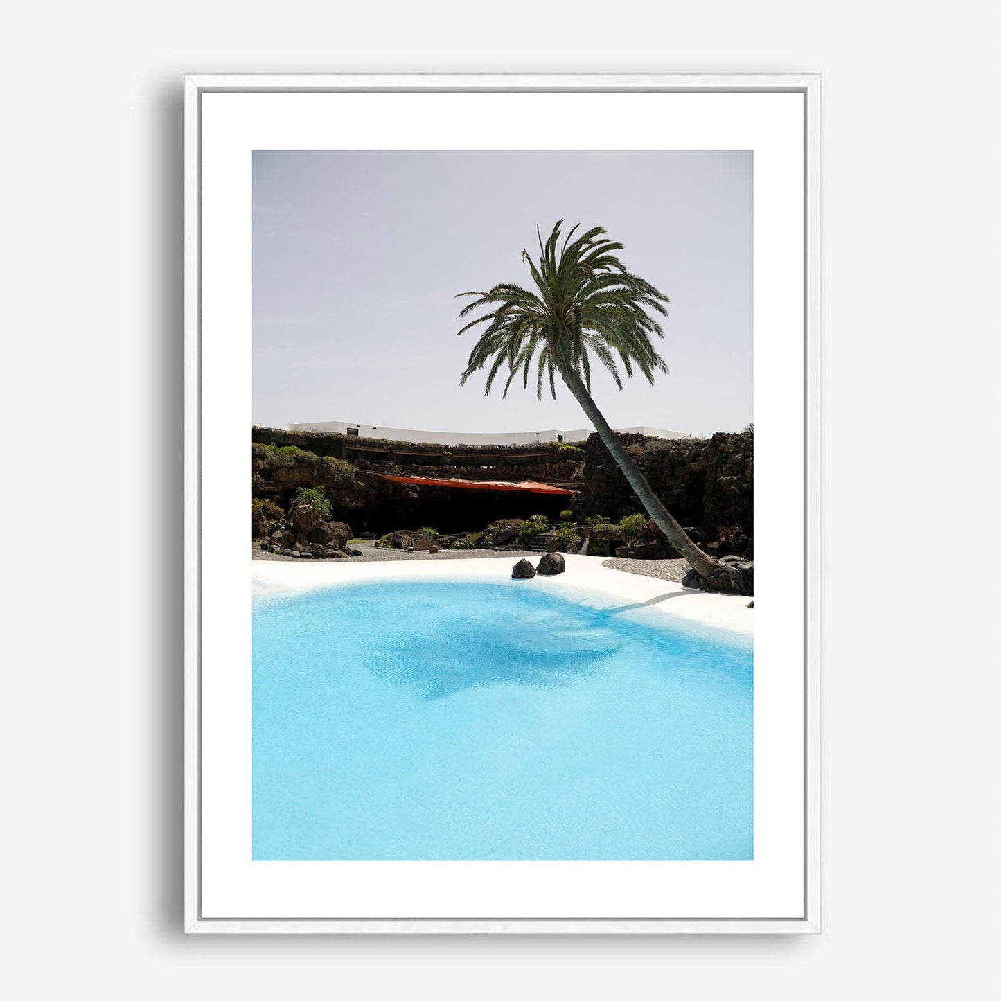 Wes Co Gallery Poster Palm Oasis Retreat 5 x 7" Home Goods - Nature  Art Print