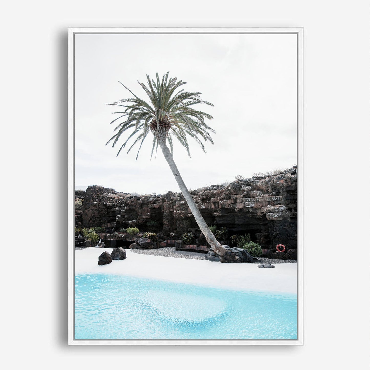 Wes Co Gallery Poster Tropical Tranquility 8 x 10" Home Goods - Nature  Art Print