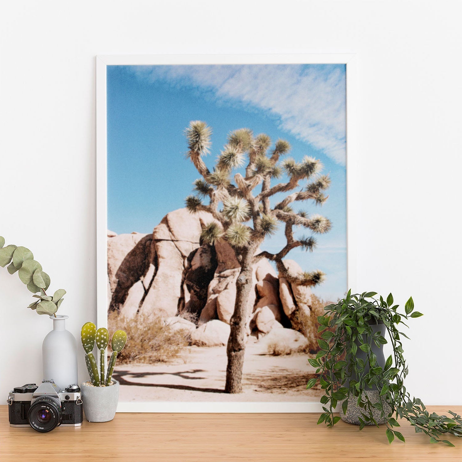 Wes Co Gallery Poster Desert Beauty in Bloom 11 x 17" Home Goods - Nature  Art Print