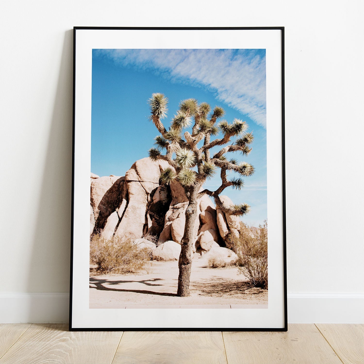 Wes Co Gallery Poster Desert Beauty in Bloom 5 x 7" Home Goods - Nature  Art Print