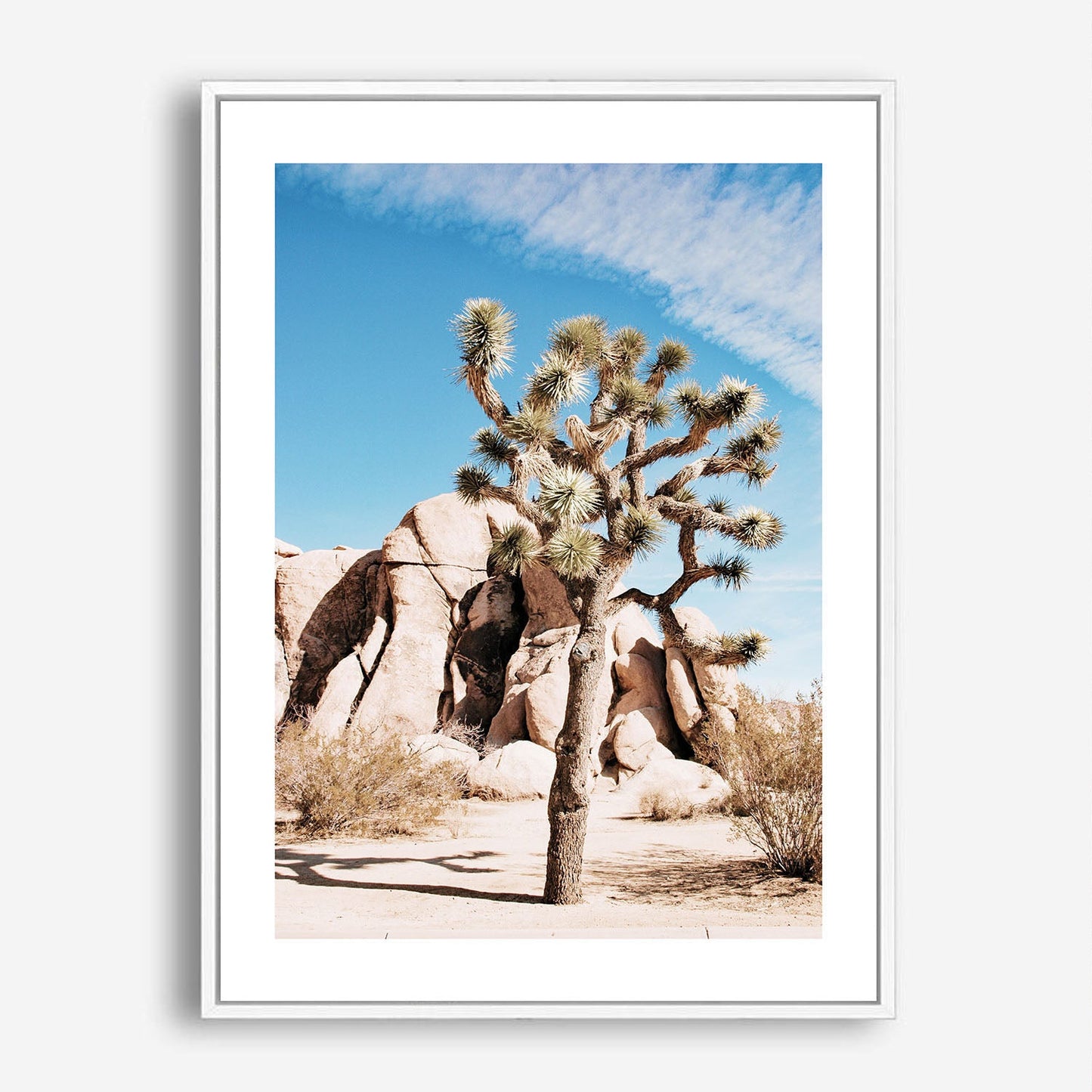 Wes Co Gallery Poster Desert Beauty in Bloom 5 x 7" Home Goods - Nature  Art Print